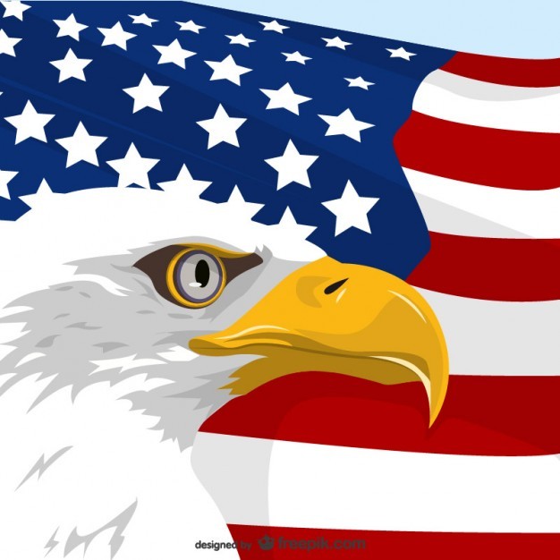 American eagle flag vector free