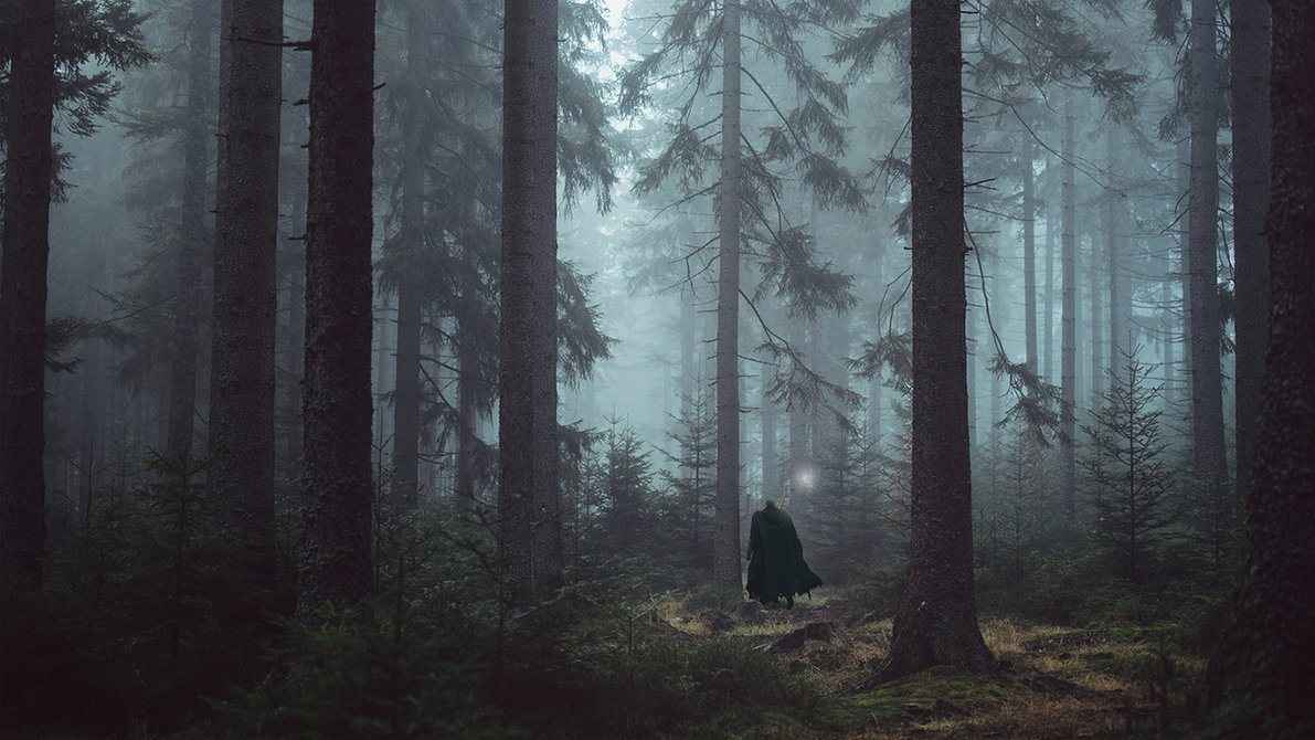 Black Swordsman in the Forest by Fazal-sama on DeviantArt