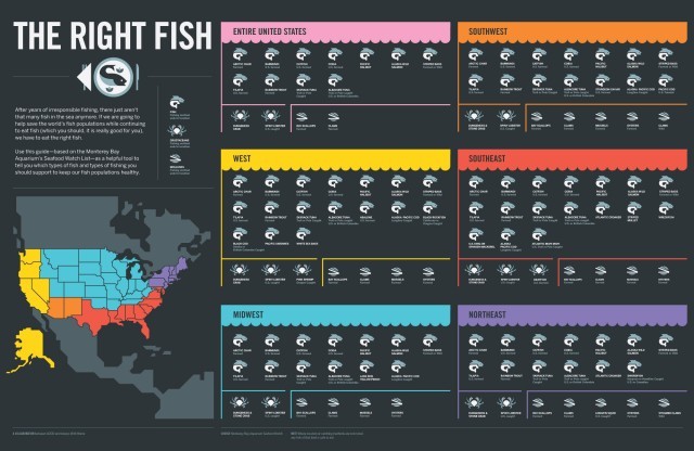 Good Fish Bad Fish [Infographic] | Daily Infographic