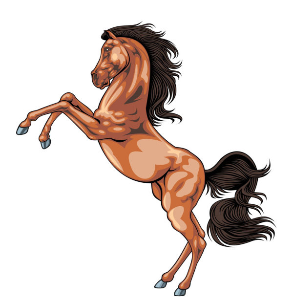 Horse vector material– 01