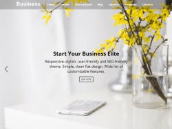 Business Elite WordPress Themes