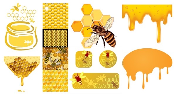 bee honey honeycomb vector material