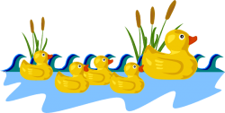 Rubber Duck Family Swimming Clip Art