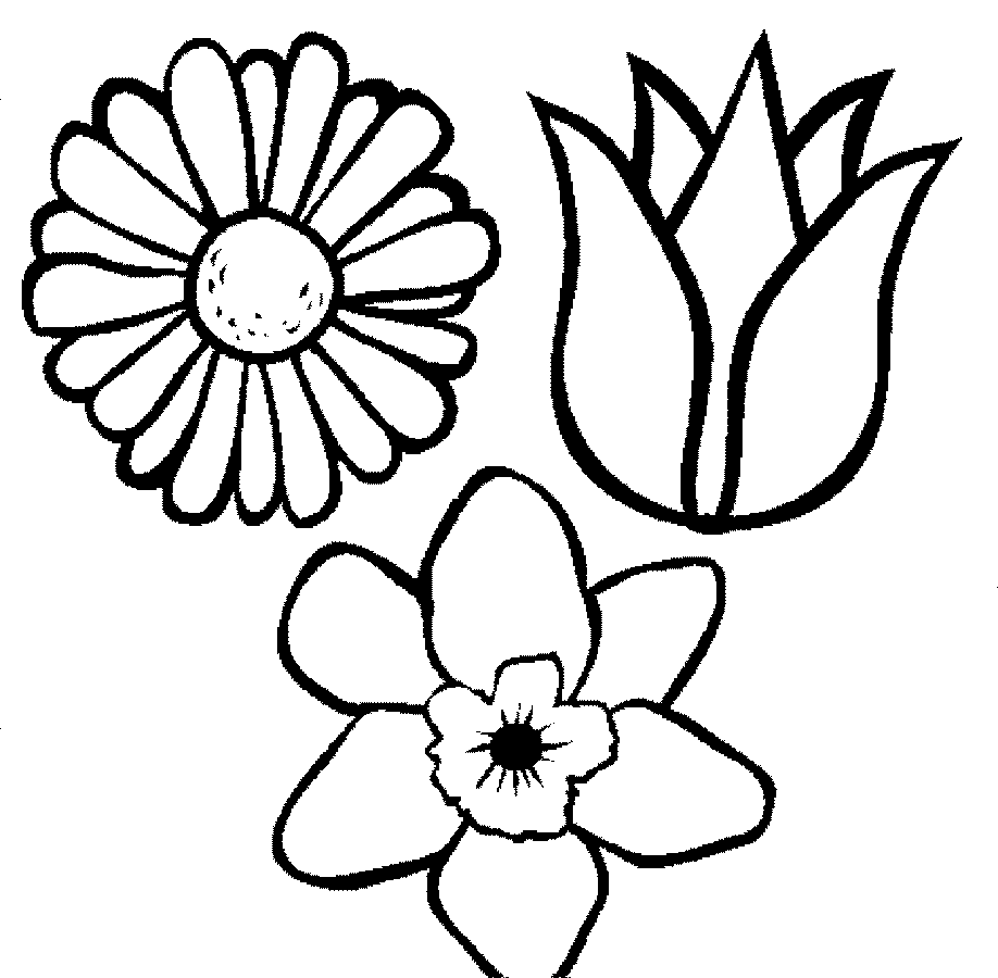Flower Pot Coloring Page – iconmaker.info