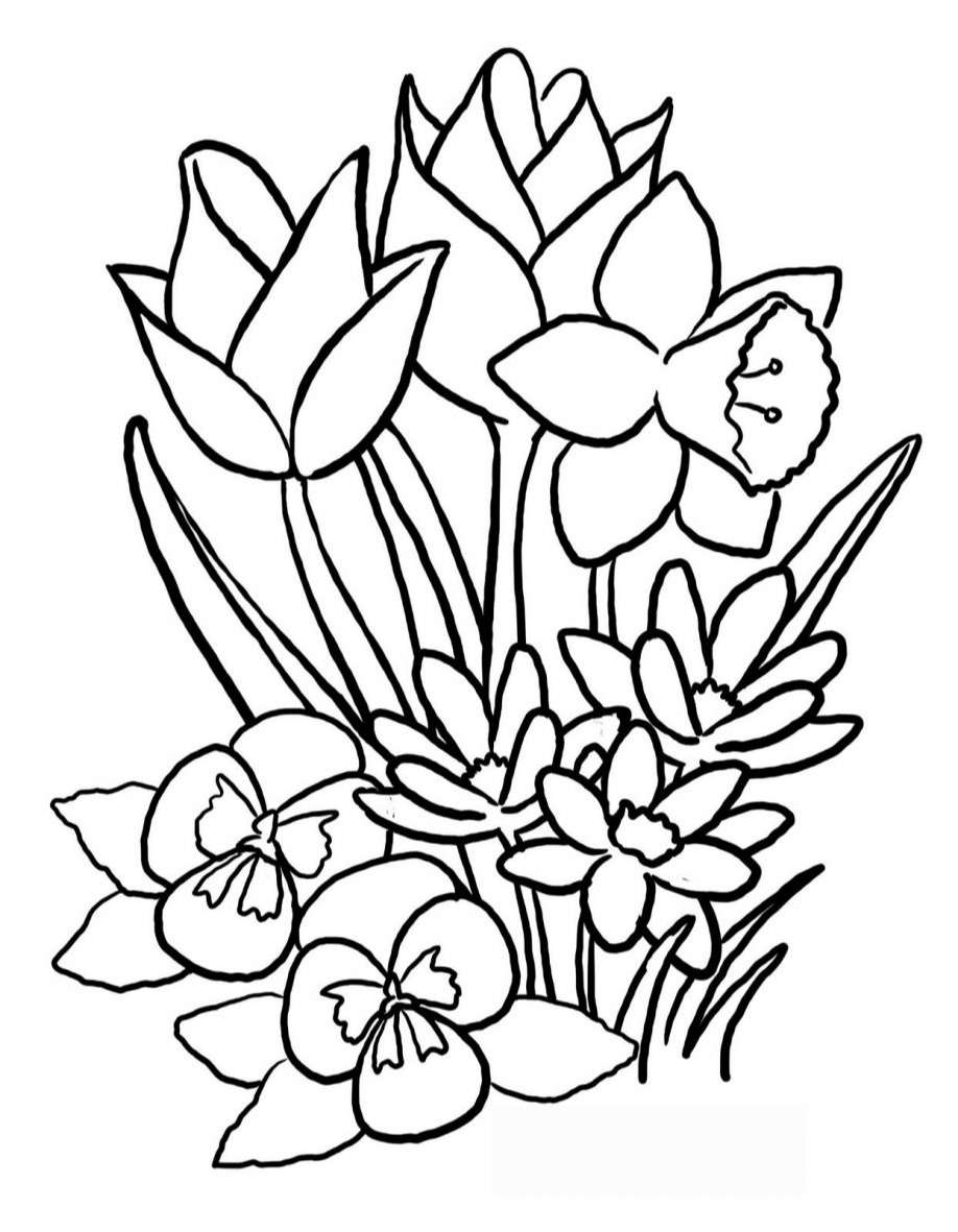 Flower Coloring Pages Preschool   Free Vector Graphic, Design Elements