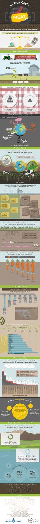 INFOGRAPHIC: The True Environmental Cost of Eating Meat