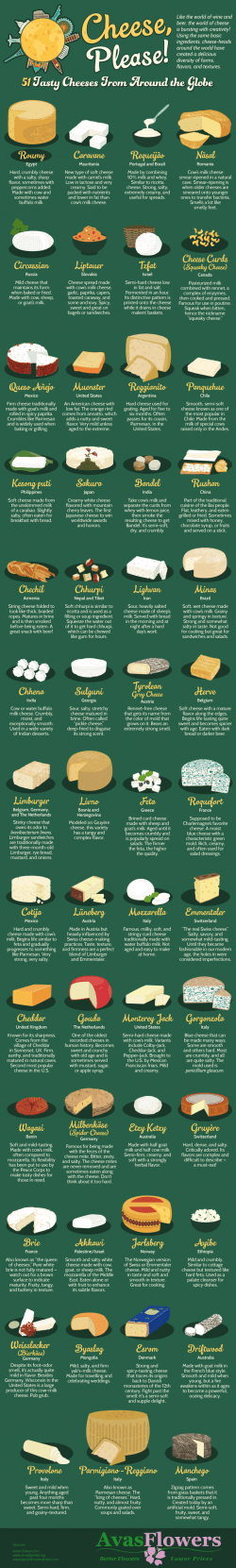 51 Types of Cheese – Imgur