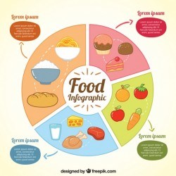 Infography with sections of food