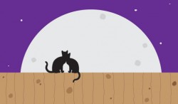 Moon Cats Vector