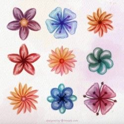 Collection of watercolor flowers