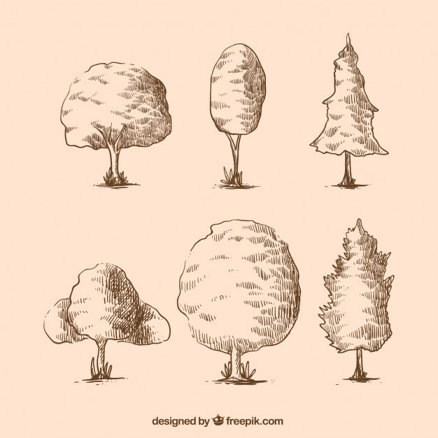 Sketches of trees pack