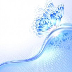 Beautiful butterfly wing with abstract background vector 08