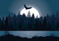 Beautiful Night Forest Illustration