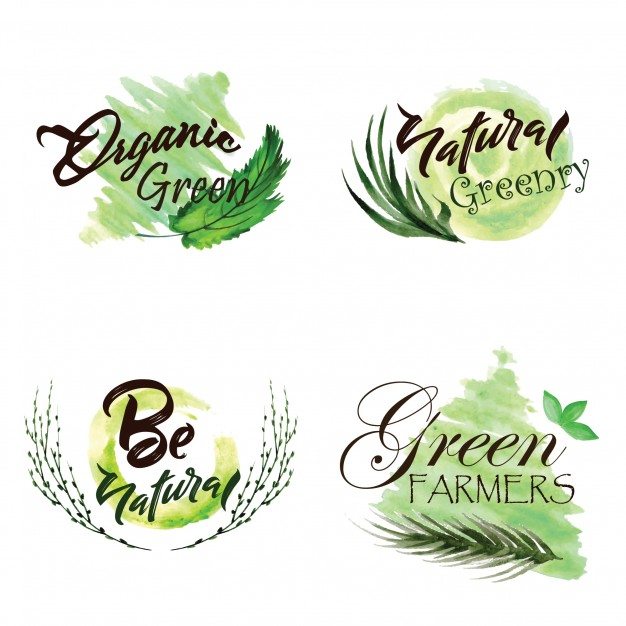 Watercolor Green Leaves Logo Collection