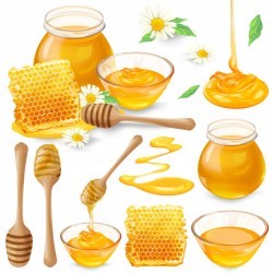 Set of vector illustrations of honey in honeycombs, in a jar, dripping from honey dipper