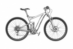 Vector illustration of a modern bicycle