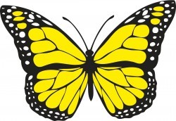 Butterfly 1 (colour) Icons PNG
