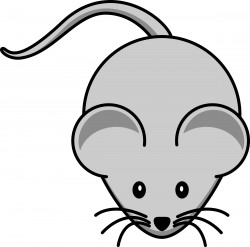 Simple cartoon mouse Icons PNG
