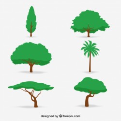Trees collection in 2d style