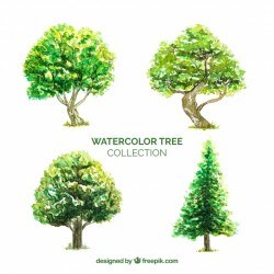 Trees collection in watercolor style