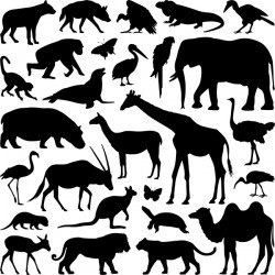 Wild animal silhouette set vector 03