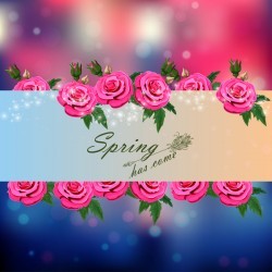Spring postcars with beautiful flowers vector 07