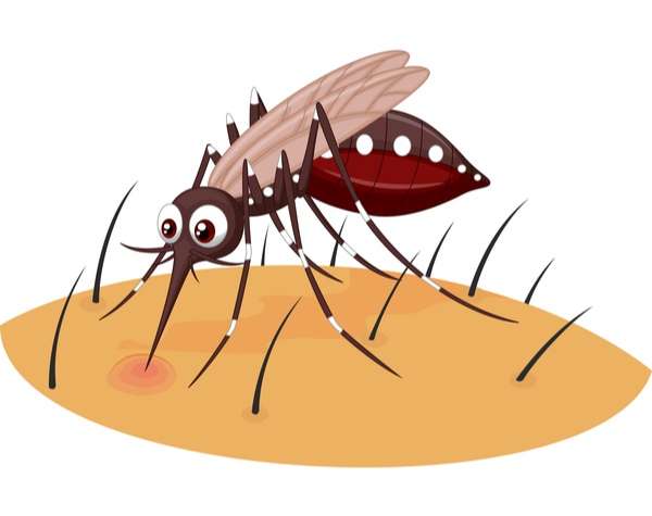 funny mosquito cartoon vector material 08