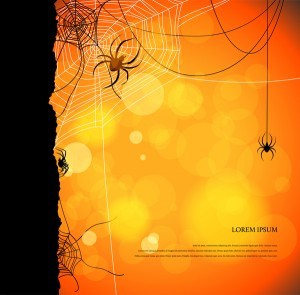 spider with night background vector