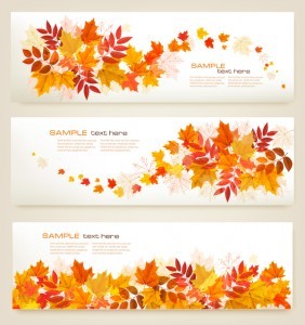 three autumn banners with colorful leaves vector