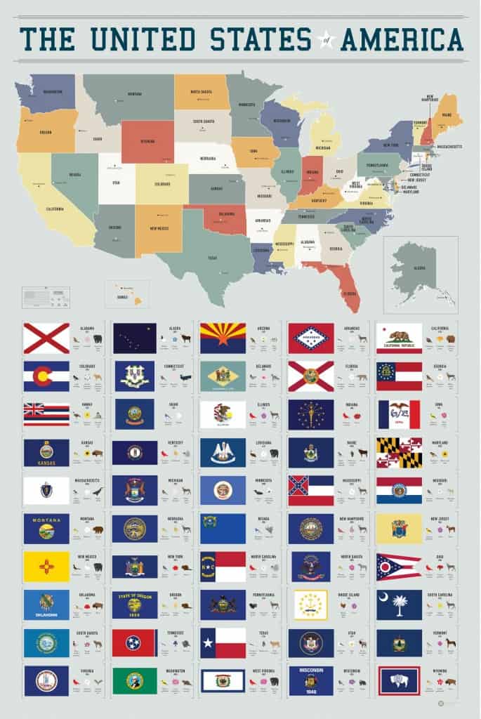 Flags of The United States of America
