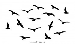 Birds flying silhouette pack
