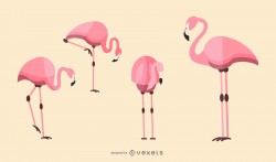 Flat Flamingo Illustration Set