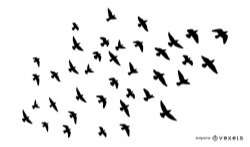 Flock of birds silhouette set