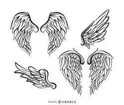 Angel wings illustration pack with feathers