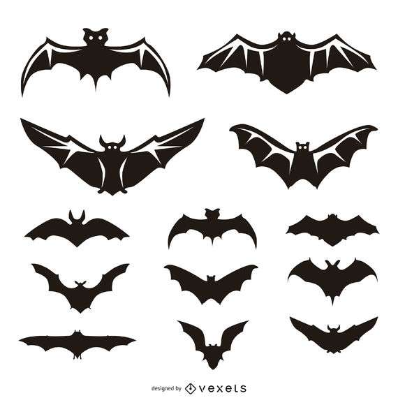 13 bat illustrations and silhouettes