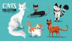 Cats illustration collection
