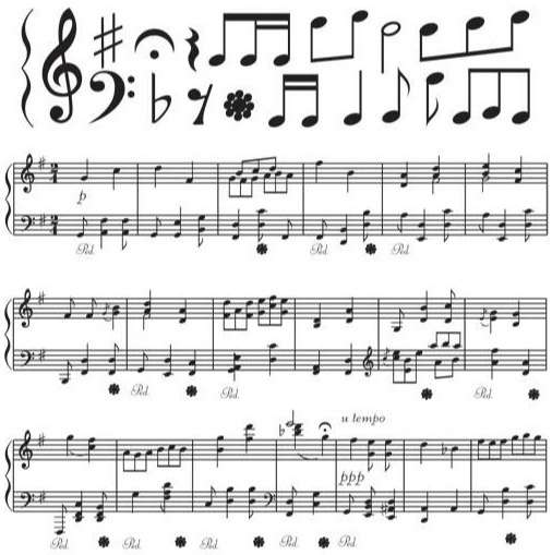 Sheet music symbols vector