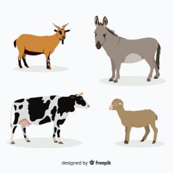 Farm animal collection in flat style Vector | Free Download