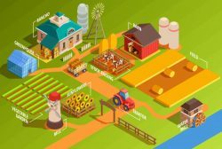 Isometric farm infographics