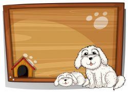 Two white dogs in front of a wooden board