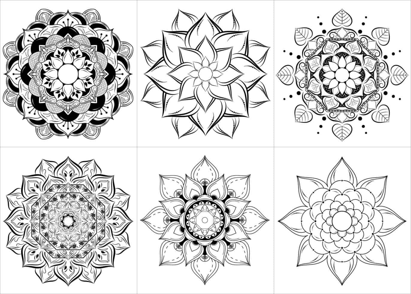 Black and White Mandala Set in Floral Style