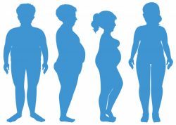 Blue silhouette of overweight human