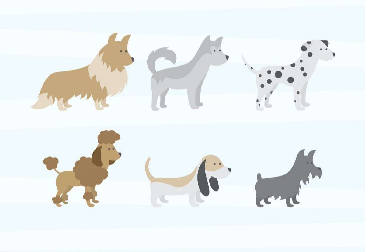 Dogs Vectors Pack