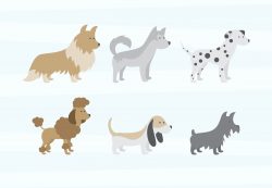 Dogs Vectors Pack
