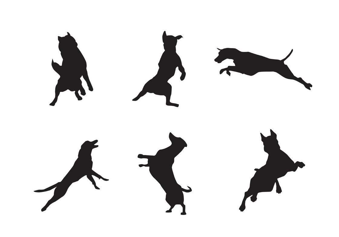Free Jumping Dog Silhouette Vectors
