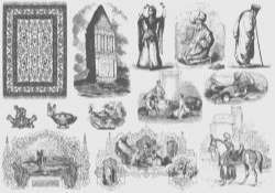 Gray Arabian Illustrations