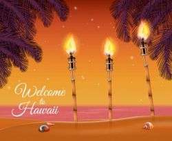 Hawaii beach torch