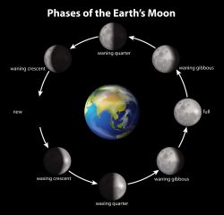 Phases of the Earth’s Moon