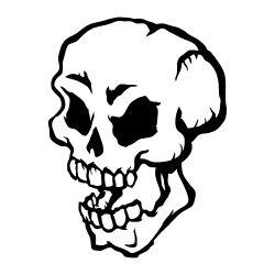 Skull graphic