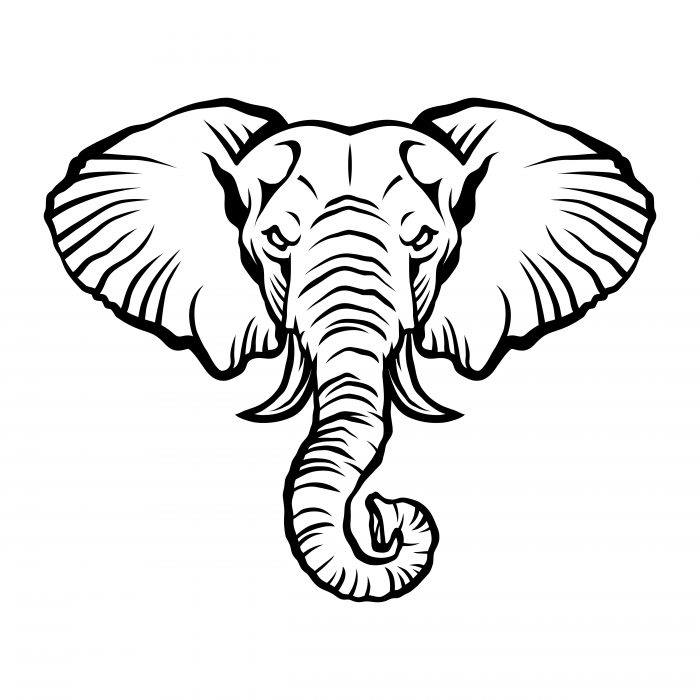 Angry cartoon elephant illustration